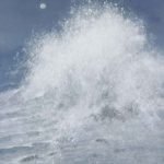 79回2005月華-'05−2−2