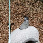 150×120×60cm　石