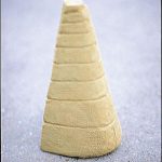 60×30×41cm　テラコッタ