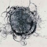 銅版画 (57x87cm) ドライポイント