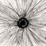 銅版画 (58x87cm) ドライポイント