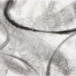 銅版画 (58x87cm) ドライポイント