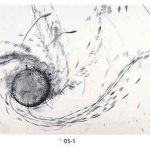 銅版画 (58x87cm)ドライポイント