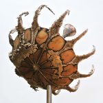 220×130×130cm　欅、ブロンズ、杉