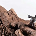 78×160×130cm　榧、出雲多納流木、檜葉