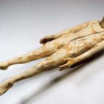 120×219×177cm　桜、樟