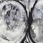 ウオータレスリトグラフ　60cm X 84cm　