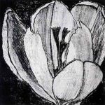 木版リトグラフ(90 x 90cm)