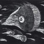 銅版／エッチング ( 56cm X 76cm)