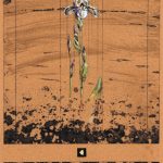 銅版・手彩色 ( 80cm X 52cm)