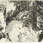 銅(凹)版 ( 60cm X 90cm)