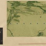  銅版・手彩色 ( 52cm X 76cm)