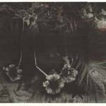 銅版・ミクストメディア ( 43cm X 87cm)