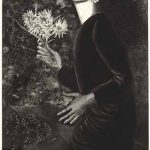 銅版画 (80cm X 60.6cm) 