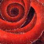 木版 ( 93cm X 83cm )