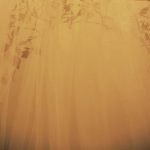 120×90×90cm　鉄、葉、布