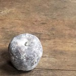 165×180×140cm　楠、ブロンズ