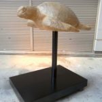 155×140×100cm　木