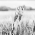 %e4%b8%b8%e5%b1%b1%e7%be%a9%e9%9b%84%ef%bc%bf%e5%86%99%e7%9c%9f%e9%83%a8%e5%a5%a8%e5%8a%b1%e8%b3%9e