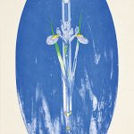 銅（凹）版・手彩色 (70 x 40cm)