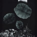 シルクスクリーン (122 x 87cm)