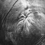 180×53×55㎝　樟