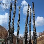 190×120×60cm　黒御影石