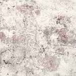 中村 佳乃 （コラグラフ）