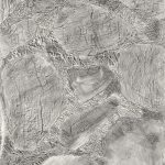 逸見有香 （フロッタージュ）