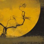 ＊永島明（デジタル）