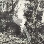 第95回国展2021おんな＜森羅紫翠＞I60×90cm（銅（凹）版）