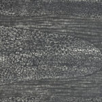 第95回国展2021作品I　朝霧32×59cm（木版）