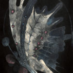 銅版画(60 x 45 cm)