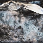 一般_中村孝太郎