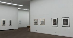 右壁右2点　田中　康　中2点　柴田吉郎　左壁2点　臼杵洋子