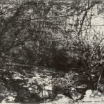 銅版・凹版（60ｘ90ｃｍ）