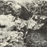 第96回2022 おんな<静謐紫翠> 60×90cm 《銅版》