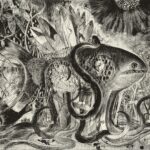 第96回2022 胎内原始魚 65×91.5cm《木によるウォータレスリトグラフ》