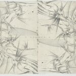第96回2022 回帰~飛ぶかたち~ 91×116.7cm 《リトグラフ》