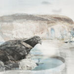 《デジタルプリント》75×105cm