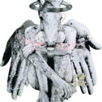 生き物の生活　あ