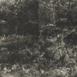 銅版・凹版（60x90cm）エッチング・アクアチント