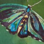 パプアの蝶（木版）24x30cm