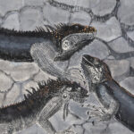 《木版》﻿97×123cm﻿