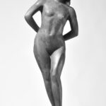 153×60×48cm  乾漆